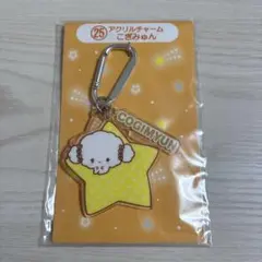 COGIMYUN 星型アクリルチャーム