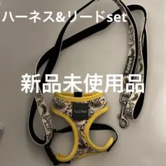 Item thumbnail for item 0193335e-35e3-4874-805a-2208a89d2cd2