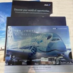 Item thumbnail for item 9ee19873-6646-46d9-a061-1250727b075b