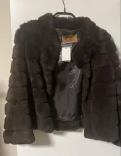 Item thumbnail for item 97e9c96b-f0f0-45f5-ab5e-8eff19b6fb11