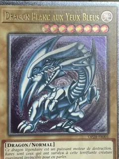 ひ*こ様 【フランス語EU版】青眼の白龍　レリーフ　OTS28 OP28 五つ目