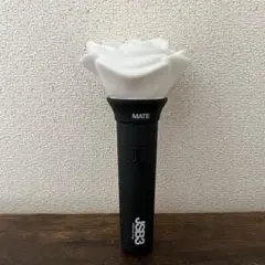 三代目J Soul Brothers MATEライトスティック