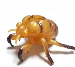 セミの幼虫 フィギュア 昆虫 模型