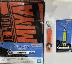 雪宮剣優　ブルーロック　一番くじ　存在の証明　応援タオル　ぽこっとちゃーむ