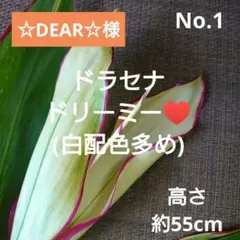 ☆DEARプロフ必読お願いします☆様 リクエスト 3点 まとめ商品