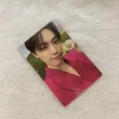 SEVENTEEN SECTOR17 でぃのくんトレカ