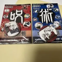 呪術廻戦 虎杖悠仁 コレクション 缶バッジ プチ 2個セット