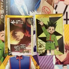HUNTER×HUNTER ハンターハンター 銀だこ ゴン クラピカ