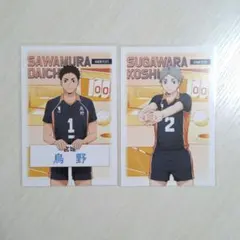 ハイキュー 特典 ポストカード 澤村 菅原