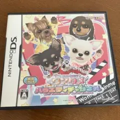 ニンテンドーDS ソフト　ワンタメ バラエティ　チャンネル