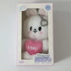 StrayKids SKZOO PLUSH VOICE Ver. ジニレット - メルカリ