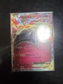 PSA10 ゼルネアスEX プロモカードパック 25th ANNIVERSARY ゼルネアスEX プロモカードパック 25th ANNIVERSARY PSA10 - メルカリ