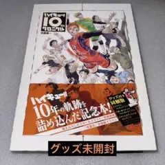 2026年最新】ハイキュー!! 10thクロニクル グッズ付き同梱版の人気