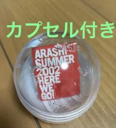 We are ARASHI 歴代ライブ ロゴ マグネット