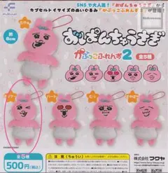 おぱんちゅうさぎ かぷっこふれんず2