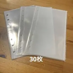 Item thumbnail for item 73b80c46-37c7-472e-bc4d-a1d1159fd79f