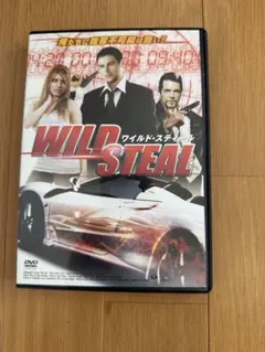 専用出品　WILD STEAL DVD