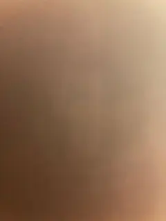 専用