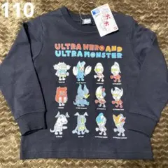 Item thumbnail for item 2017ed9b-be67-4185-9e9c-4f7e60bb0b92