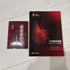 2026年最新】acls プロバイダーの人気アイテム - メルカリ