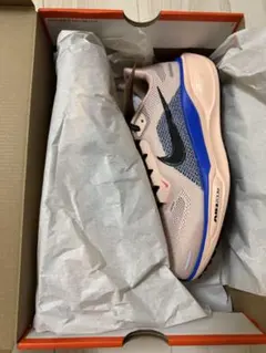 NIKE ナイキ エア　ズーム　ペガサス　41