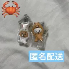 スキズ SKZOO つまんでつなげてますこっと リービット　ハンクォッカ 味噌