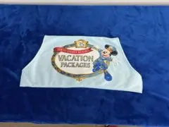 ブランケット＆バック　東京ディズニーリゾート バケーションパッケージ35周年記念
