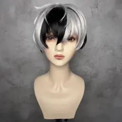 【No.224】サンプル品　ウィッグオーダー受付中！