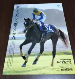 JRAヒーロー列伝 ステイゴールド - メルカリ