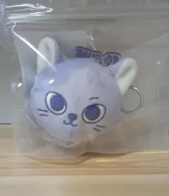 BOYNEXTDOOR プネクド フェイスキーリング ソンホ ケッピ☆おまけ付☆