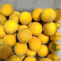 いーぐる様 リクエスト 2点 まとめ商品