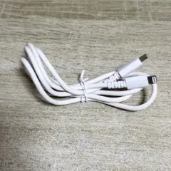 USB Type-C to Lightning (アップル社MFi認定) 1m
