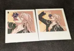 パラライ トレフォト 2枚セット 紫音