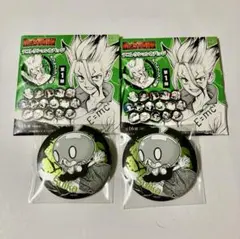 ドクスト 原作 中国 デコレクション缶バッジ Dr.STONE スイカ ドクスト 原作 中国 デコレクション缶バッジ Dr.STONE スイカ - メルカリ