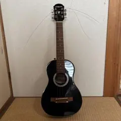 Aria アコースティックギター ミニギター 本体のサムネイル