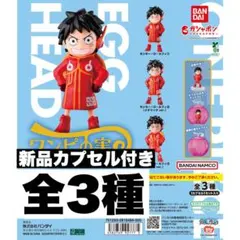 新品ワンピの実　エッグヘッドverルフィ全3種　コンプリートセット　カプセル付き