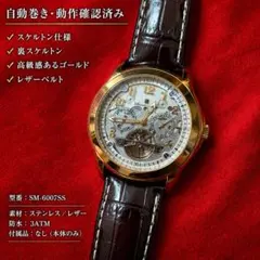 【動作確認済み】Salvatore Marra SM-6007SS 自動巻き時計