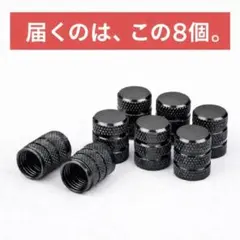 レア JZX100等 チタン製ステンレスプラグカバー ポン付け！ - メルカリ