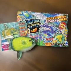 【新品】くじらアタック&co. アンドコ　マンボウ