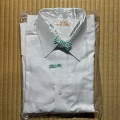 Item thumbnail for item 7e4934ce-c72b-4e2a-900d-bbf2c2c6a01e