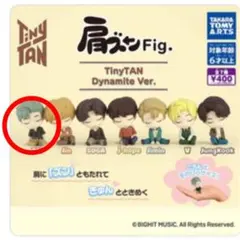 肩ズンFig TinyTAN Dynamite RM