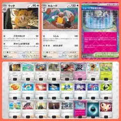 【ポケモンカード】ラッタ&ホルード 構築済みデッキのサムネイル
