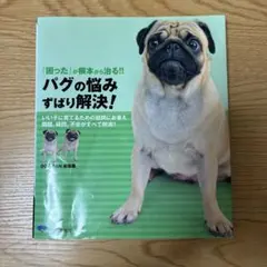 パグの悩み ずばり解決!
