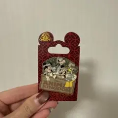 WDW アニマルキングダム ピン 未使用