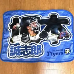 阪神タイガース　シークレットブランケット　坂本誠志郎