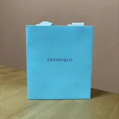 Item thumbnail for item 3fb89376-63ca-4379-9307-2274ff721701