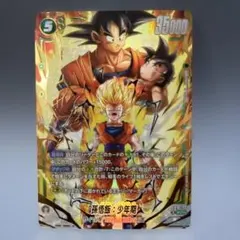2026年最新】孫悟飯少年期scrの人気アイテム - メルカリ