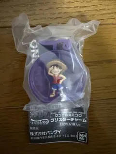 ワンピの実 ミクロ ブリスターチャーム