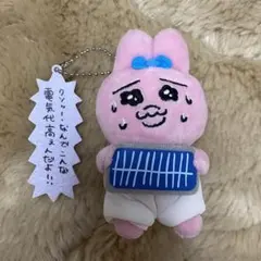 おぱんちゅうさぎ　セリフ付きマスコットぬいぐるみ　電気代