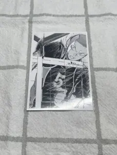 ハイキュー!!10thクロニクル フォトカードNo.007 烏野高校 田中龍之介